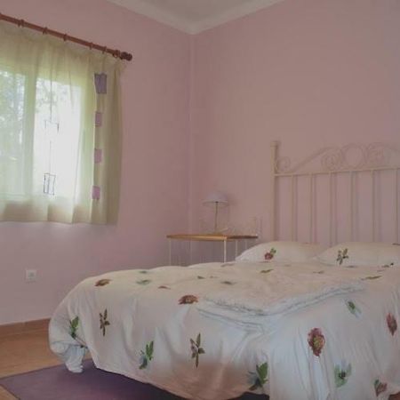 Casa En Plena Naturaleza Attcc00637 Valdecanas de Tajo 外观 照片