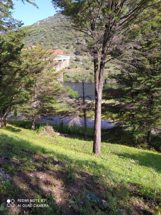 Casa En Plena Naturaleza Attcc00637 Valdecanas de Tajo 外观 照片
